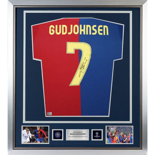 Eidur_Gudjohnsen_1_250x250@2x.