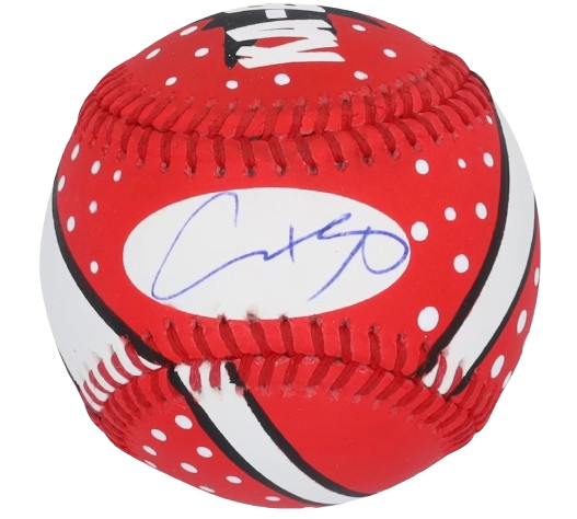 大谷翔平 ロサンゼルス・エンゼルス ルーキーイヤー直筆サインボールMLB公式球 MLB エンゼルス 大谷翔平 直筆サインアイテム オール - MLB